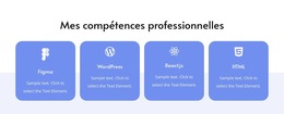 Mes Compétences Professionnelles - Meilleur Modèle De Site Web