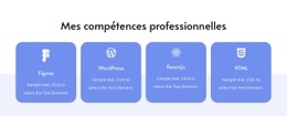 Mes Compétences Professionnelles