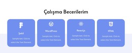 Çalışma Becerilerim