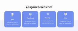 Çalışma Becerilerim