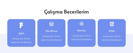 Çalışma Becerilerim