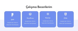 Çalışma Becerilerim - Harika WordPress Teması