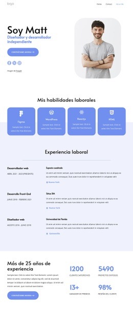 Desarrollador Independiente - Creador Del Sitio Web