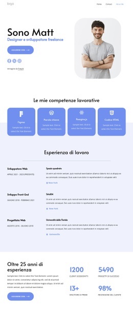 Sviluppatore Freelance - Creatore Del Sito Web