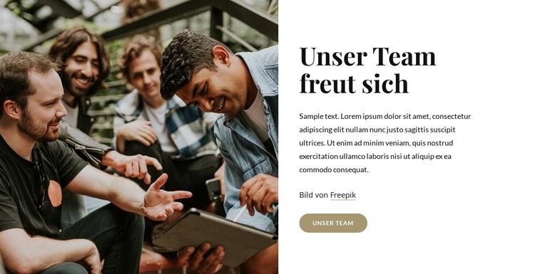 Wir sind eine Gruppe von Fachleuten CSS-Vorlage