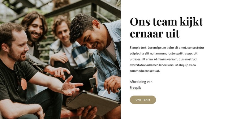 Wij zijn een groep professionals CSS-sjabloon