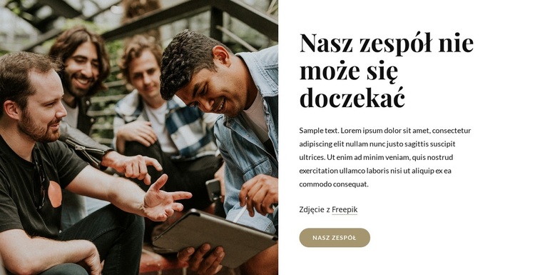 Jesteśmy grupą profesjonalistów Motyw WordPress