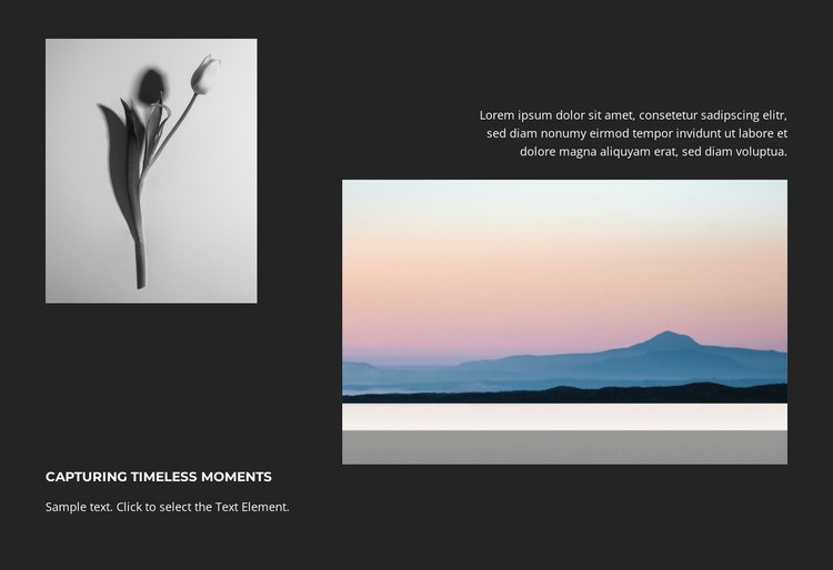 Timeless Visual Art CSS Template