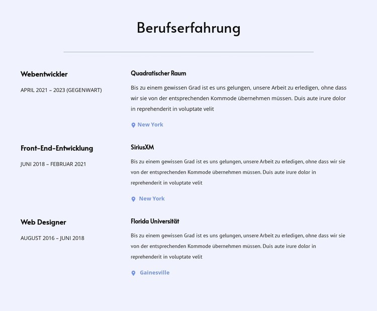 Meine Berufserfahrung CSS-Vorlage