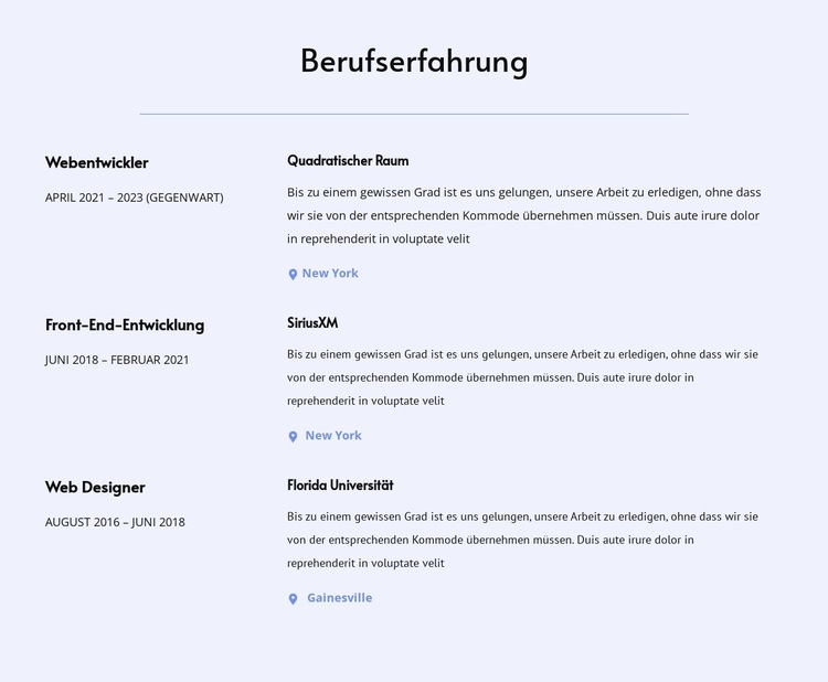 Meine Berufserfahrung Website-Vorlage