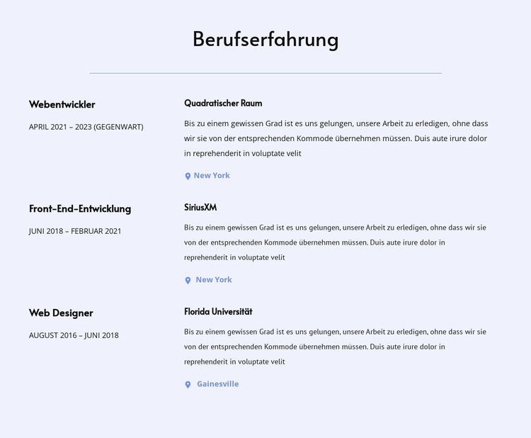 Meine Berufserfahrung WordPress-Theme