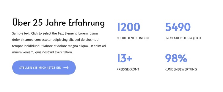 25+ Jahre Erfahrung WordPress-Theme