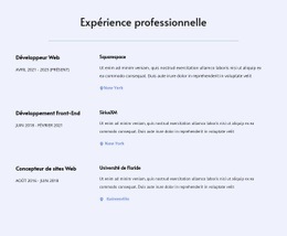 Conception Du Site Pour Mon Expérience Professionnelle