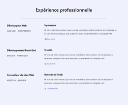 Mon Expérience Professionnelle