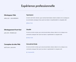 Mon Expérience Professionnelle Modèle De Conception