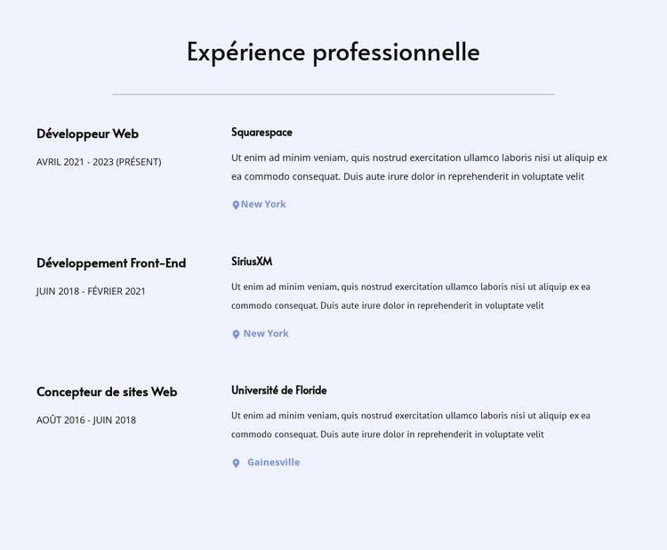 Mon expérience professionnelle Modèle CSS