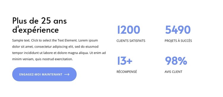 Plus de 25 ans d'expérience Modèle CSS