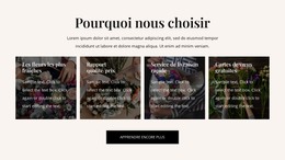 Site HTML Pour Avantages De La Livraison De Fleurs