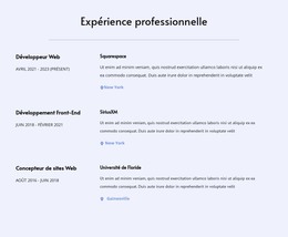 Mon Expérience Professionnelle – Modèle D'Éléments Premium