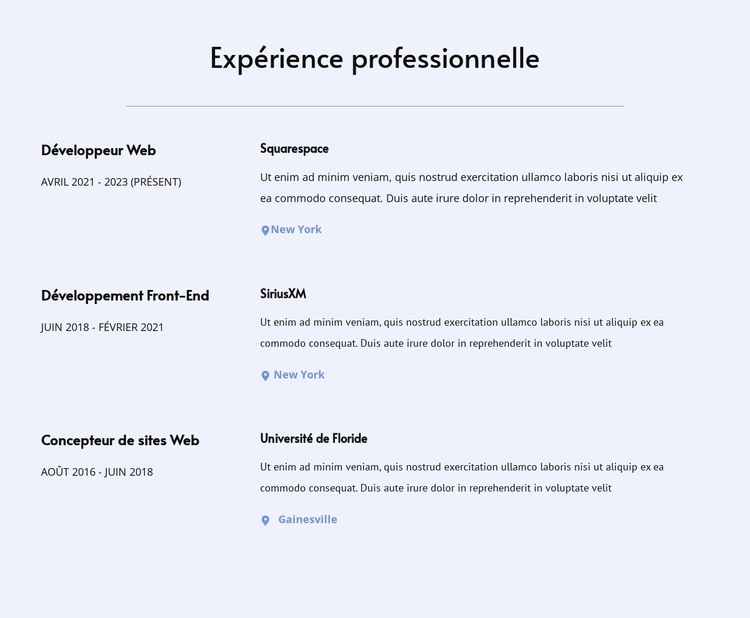 Mon expérience professionnelle Modèle HTML