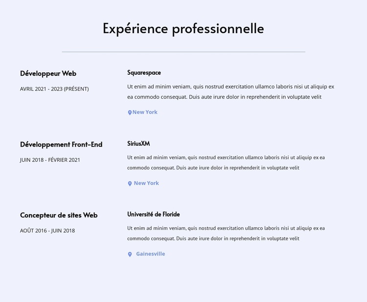 Mon expérience professionnelle Modèle Joomla