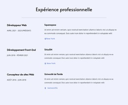 Mon Expérience Professionnelle : Modèle Créatif Polyvalent