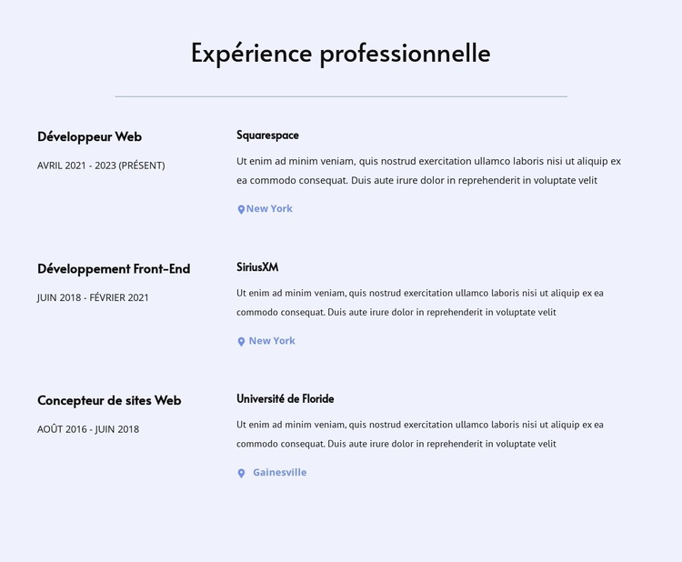 Mon expérience professionnelle Modèle de site Web