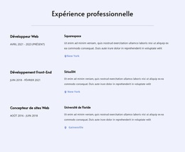 Mon Expérience Professionnelle