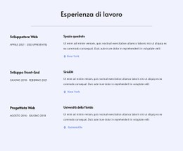 La Mia Esperienza Lavorativa Modello Di Progettazione