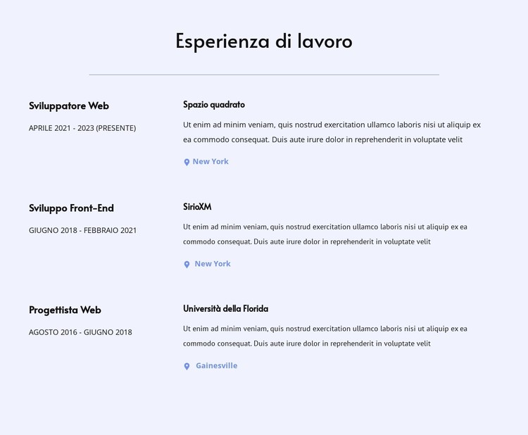 La mia esperienza lavorativa Modello CSS