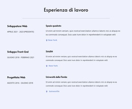 Tema WordPress La Mia Esperienza Lavorativa Per Qualsiasi Dispositivo