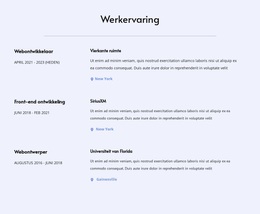 WordPress-Thema Mijn Werkervaring Voor Elk Apparaat