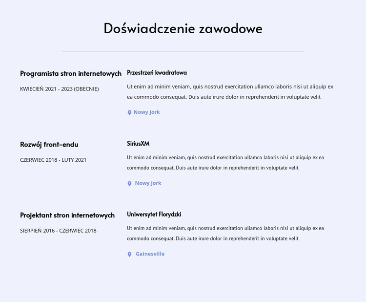 Moje doświadczenie zawodowe Motyw WordPress