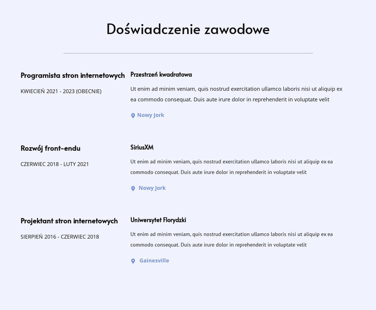 Moje doświadczenie zawodowe Szablon CSS