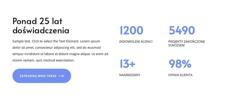 Ponad 25 lat doświadczenia Szablon CSS