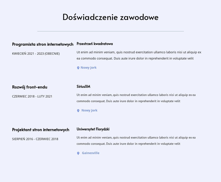 Moje doświadczenie zawodowe Szablon witryny sieci Web