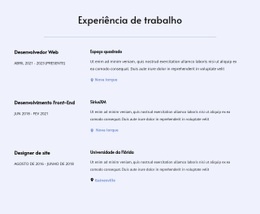 Minha Experiência De Trabalho