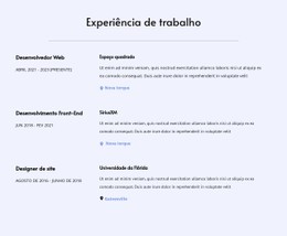 Minha Experiência De Trabalho