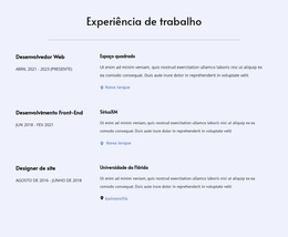 Tema WordPress Minha Experiência De Trabalho Para Qualquer Dispositivo