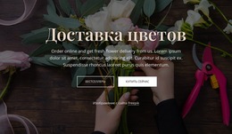 Заказать Свежие Цветы Онлайн #Joomla-Templates-Ru-Seo-One-Item-Suffix