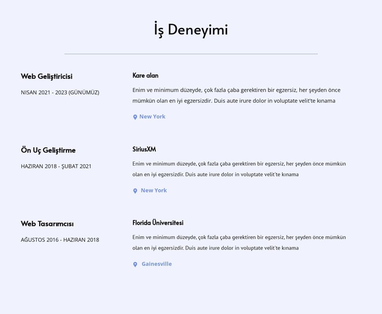 İş deneyimim CSS Şablonu