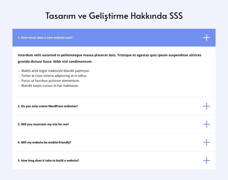 Tasarım hakkında SSS CSS Şablonu