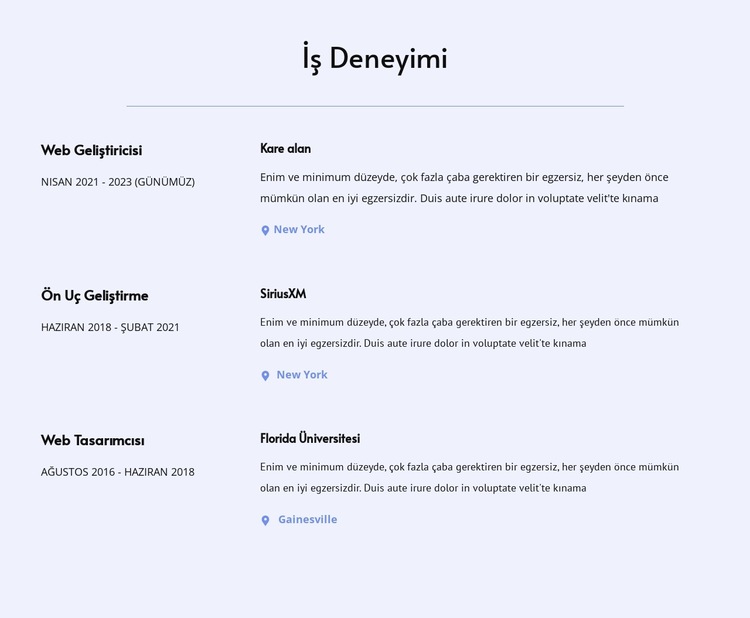 İş deneyimim Web Sitesi Şablonu