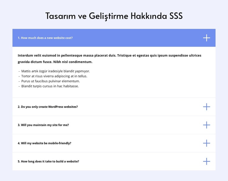 Tasarım hakkında SSS Web Sitesi Şablonu