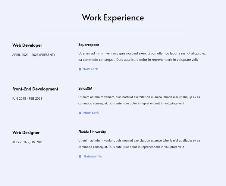 My work experience eCommerce Template