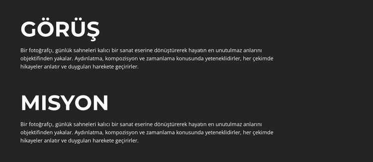 Mükemmel Anıları Çerçevelemek CSS Şablonu