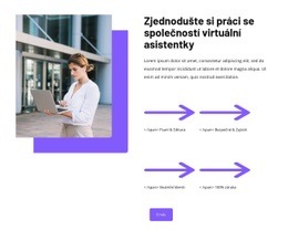 Řešení Virtuálních Asistentů – Šablona Webu