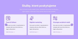 Služby, Které Poskytujeme