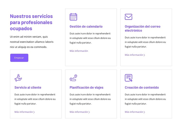 Nuestros servicios para profesionales ocupados Plantilla CSS