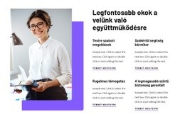 A Velünk Való Együttműködés Előnyei – Használatra Kész WordPress Téma